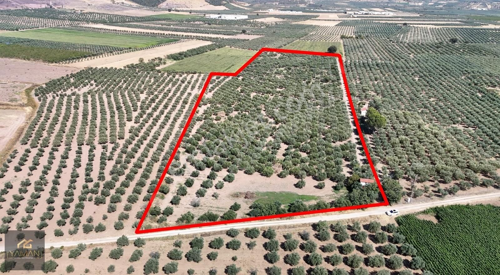 Hacıishak Mah. 49.699 M² Yeraltı Sulama Sis. Satılık Zeytinlik - Görsel 33
