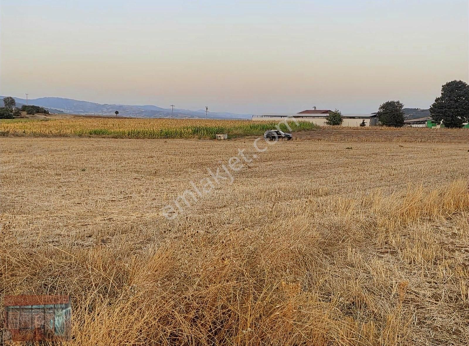 Bursa Yenişehir Fethiye Satılık Tarla 3700 M2 - Görsel 6