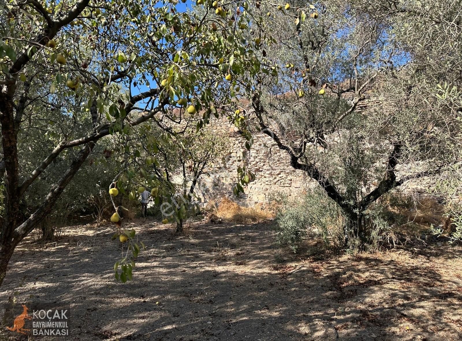 İznik Merkezde 1812m2 Arsalı Müstakil Bahçeli 2 Katlı Satılık Ev - Görsel 11