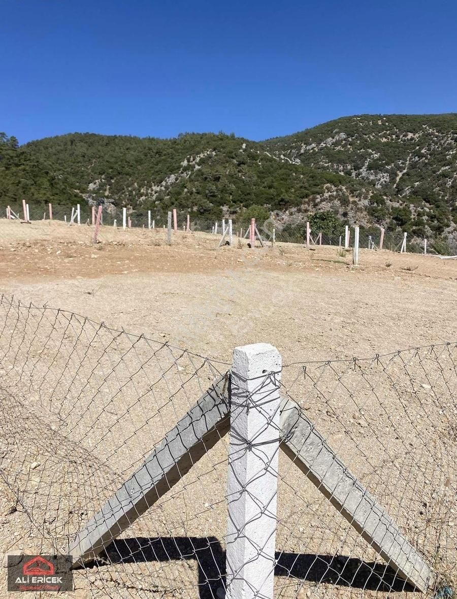 Damlacık"ta Elektrik Alt Yapı Mevcut Doğa Manzaralı Bahçe - Görsel 2