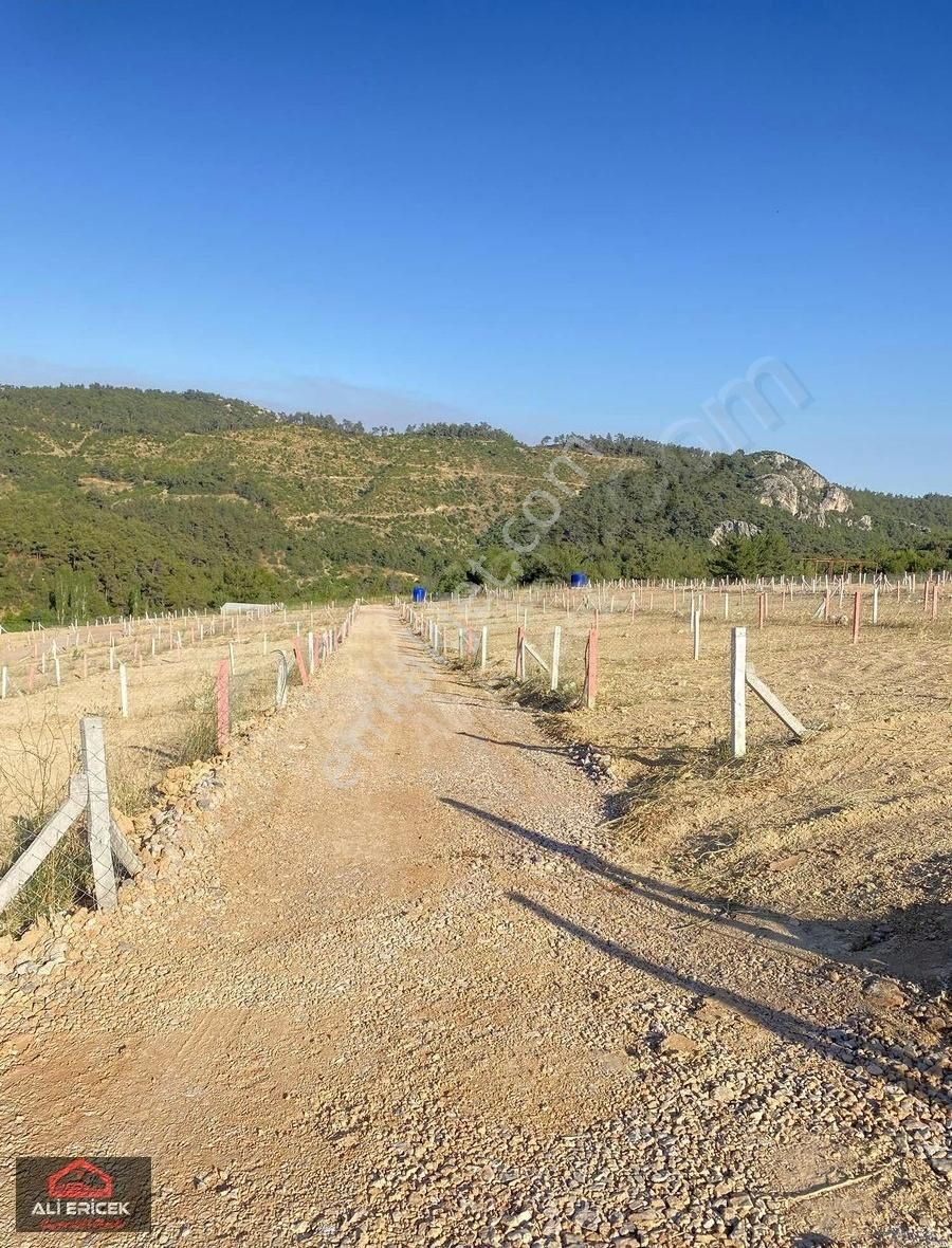 Damlacık"ta Elektrik Alt Yapı Mevcut Doğa Manzaralı Bahçe - Görsel 9