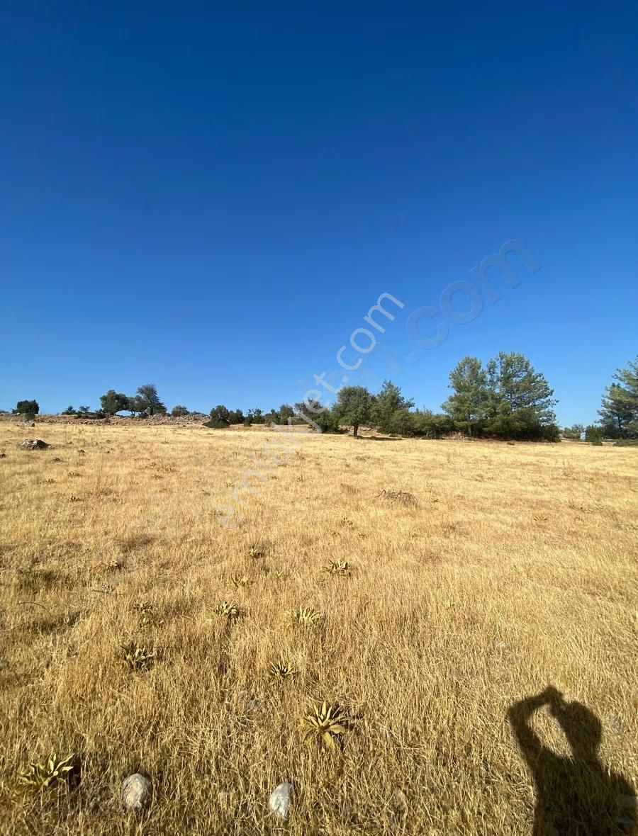 Muğla Yatağan Yayla'da Satılık Arsa - Görsel 12