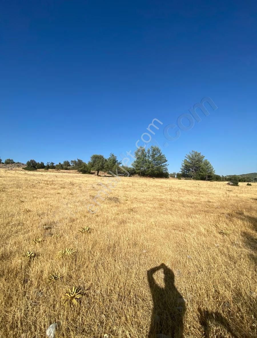 Muğla Yatağan Yayla'da Satılık Arsa - Görsel 13