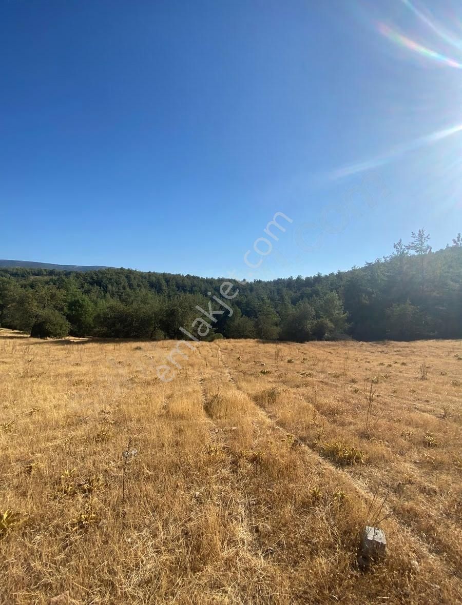 Muğla Yatağan Yayla'da Satılık Arsa - Görsel 10