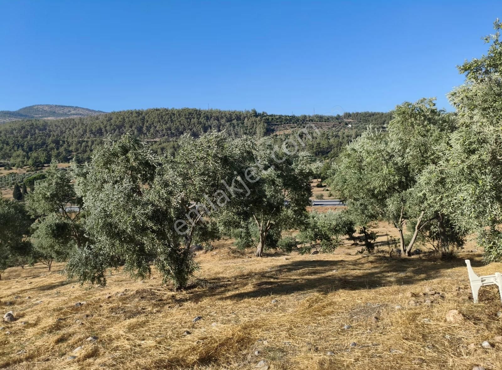 Muğla Yatağan Yayla'da Satılık Arsa - Görsel 4