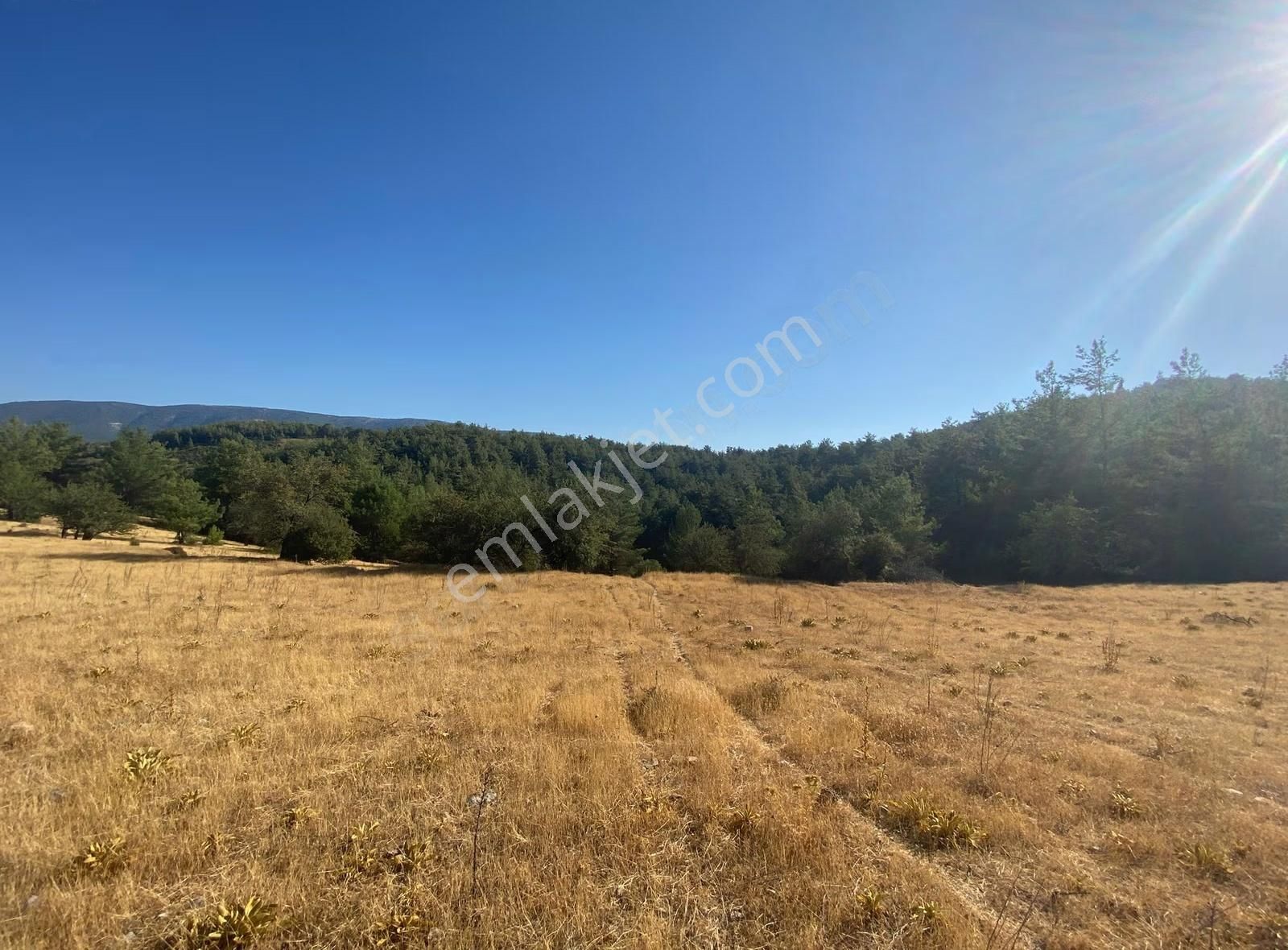 Muğla Yatağan Yayla'da Satılık Arsa - Görsel 14