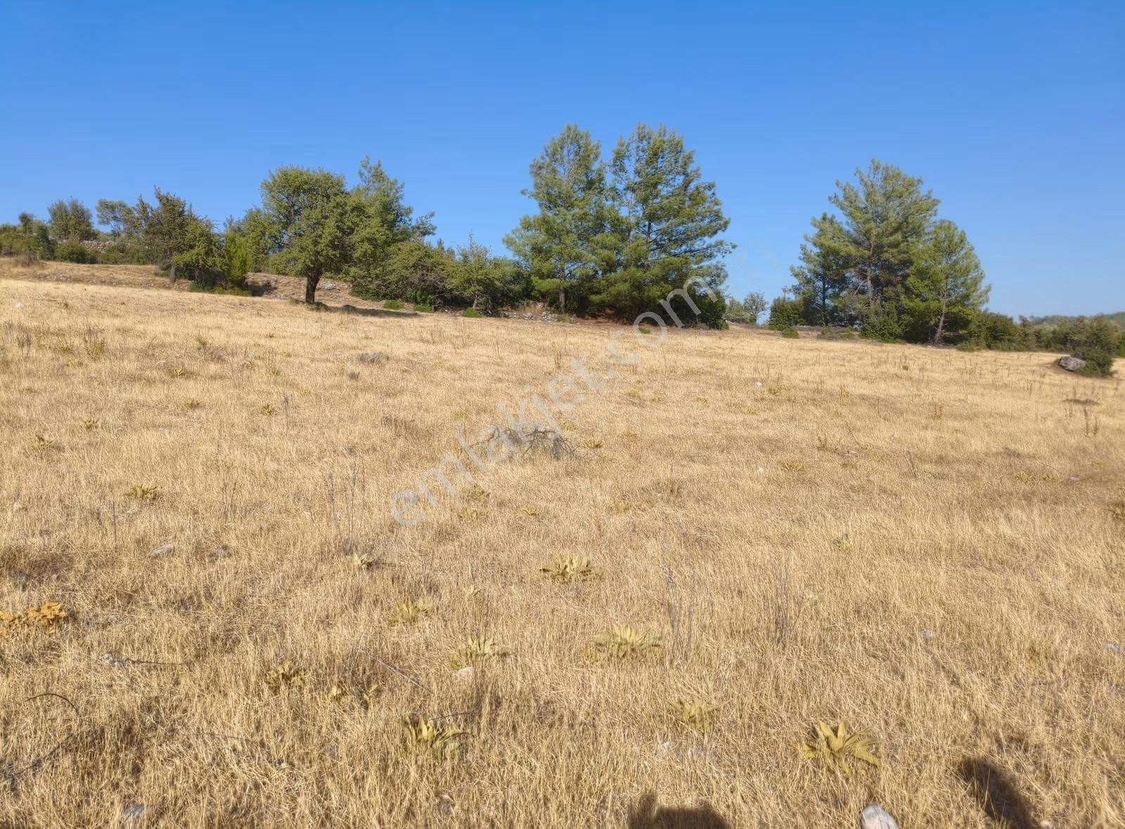 Muğla Yatağan Yayla'da Satılık Arsa - Görsel 17