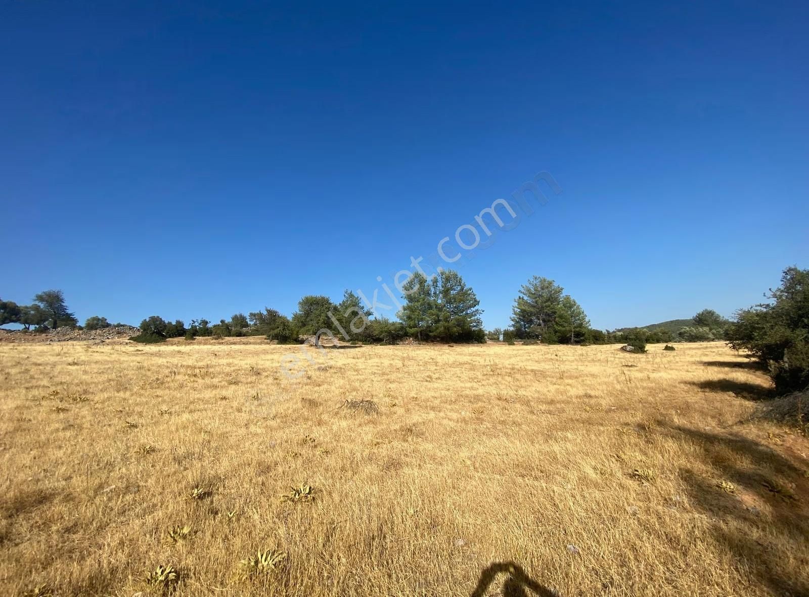 Muğla Yatağan Yayla'da Satılık Arsa - Görsel 11