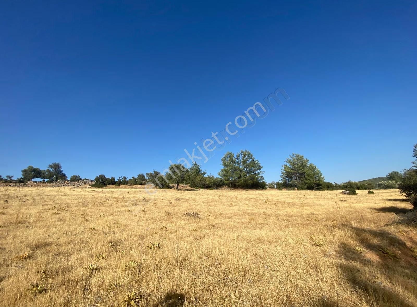 Muğla Yatağan Yayla'da Satılık Arsa - Görsel 6