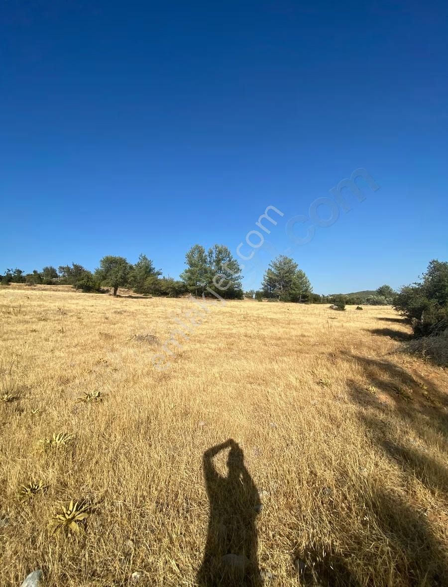 Muğla Yatağan Yayla'da Satılık Arsa - Görsel 2