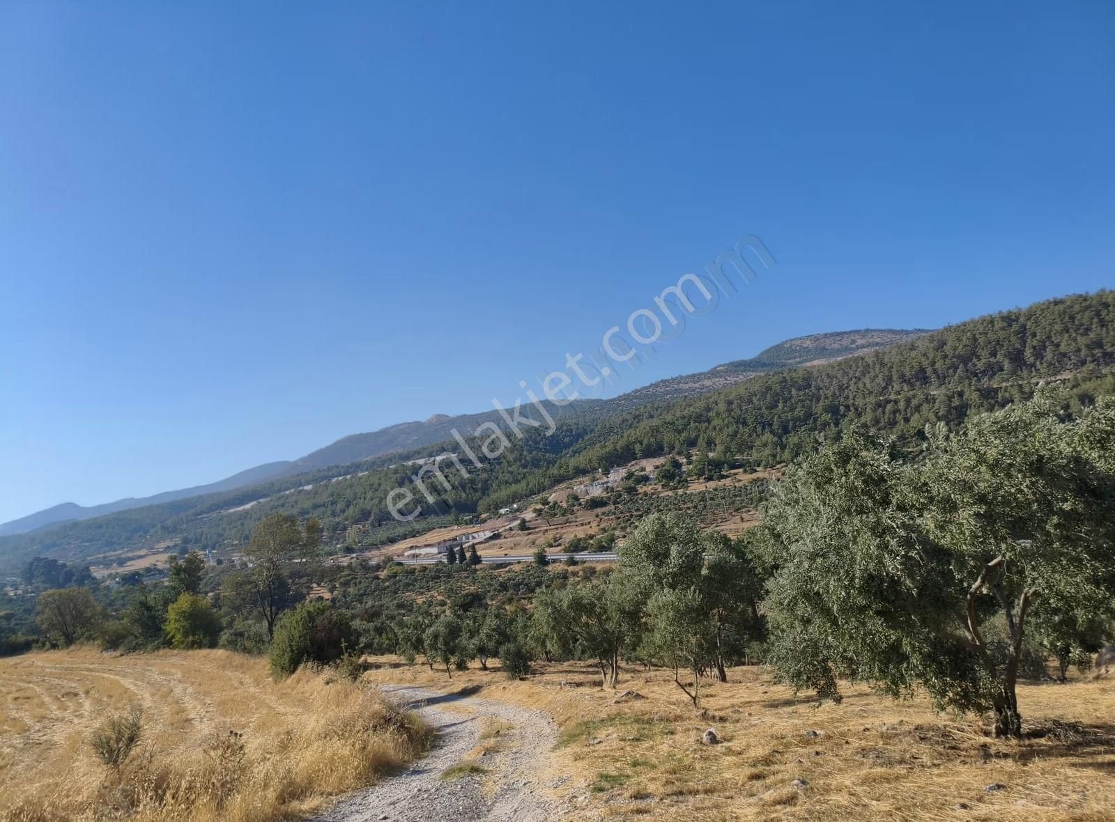 Muğla Yatağan Yayla'da Satılık Arsa - Görsel 3