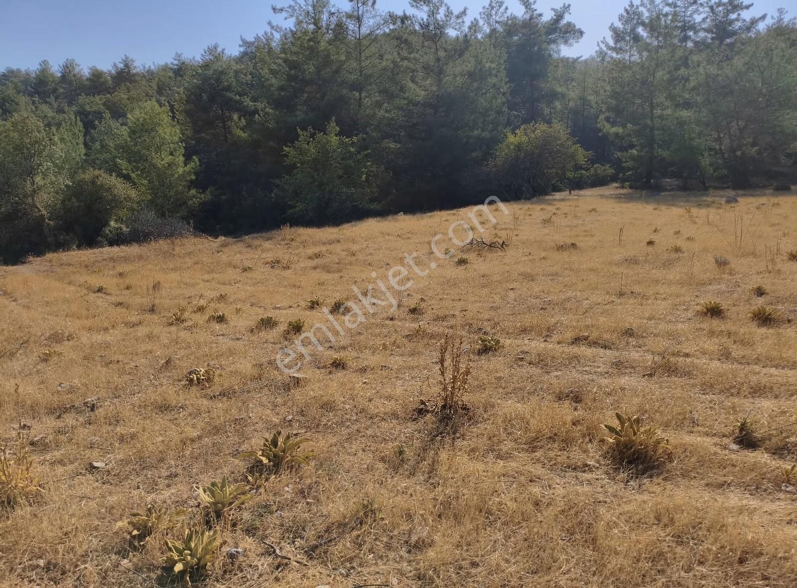 Muğla Yatağan Yayla'da Satılık Arsa - Görsel 9