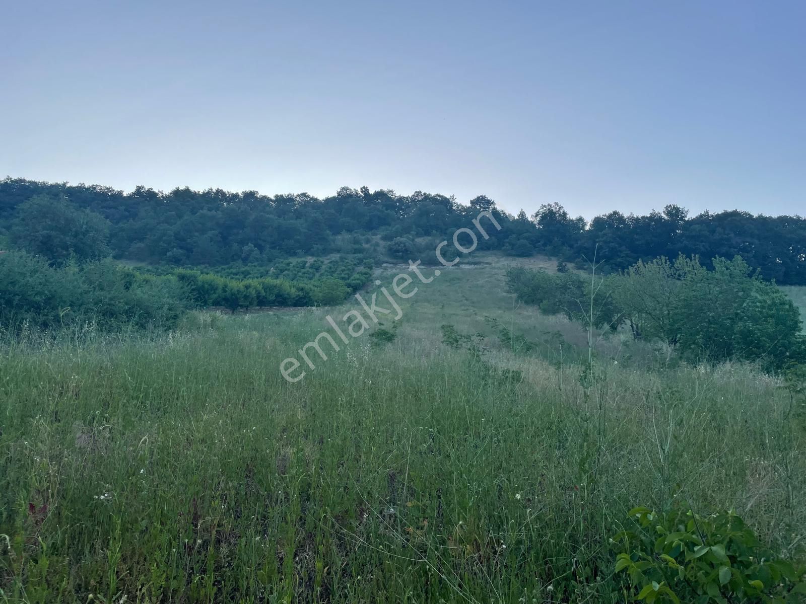 Arslan Emlak'tan İnegöl Çayyaka Da Satılık Ruhsatı Alınmış Çiftlik - Görsel 28