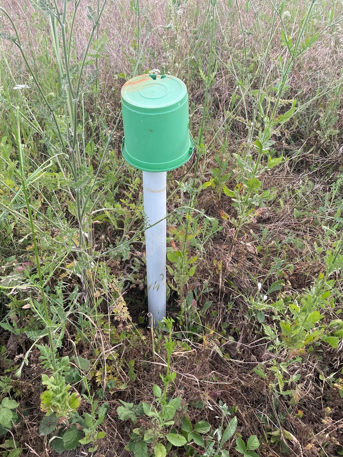 Arslan Emlak'tan İnegöl Çayyaka Da Satılık Ruhsatı Alınmış Çiftlik - Görsel 24