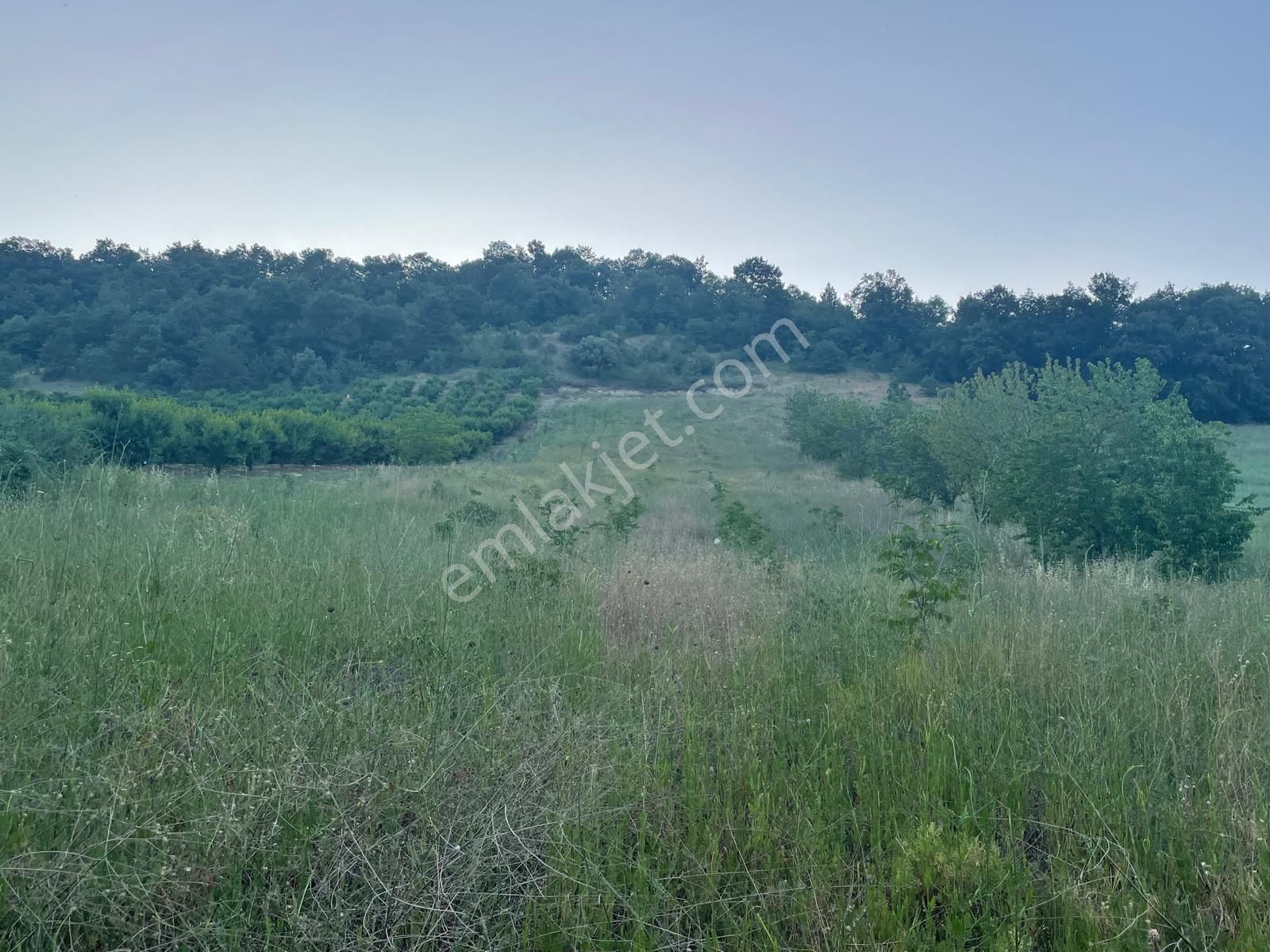 Arslan Emlak'tan İnegöl Çayyaka Da Satılık Ruhsatı Alınmış Çiftlik - Görsel 25
