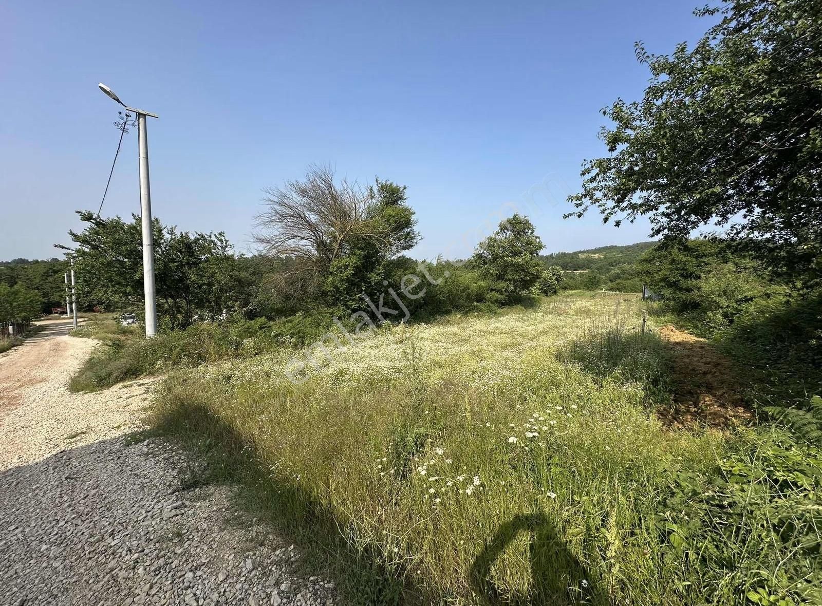Bursa Nilüfer Güngörende Tek Tapu Tarla - Görsel 2