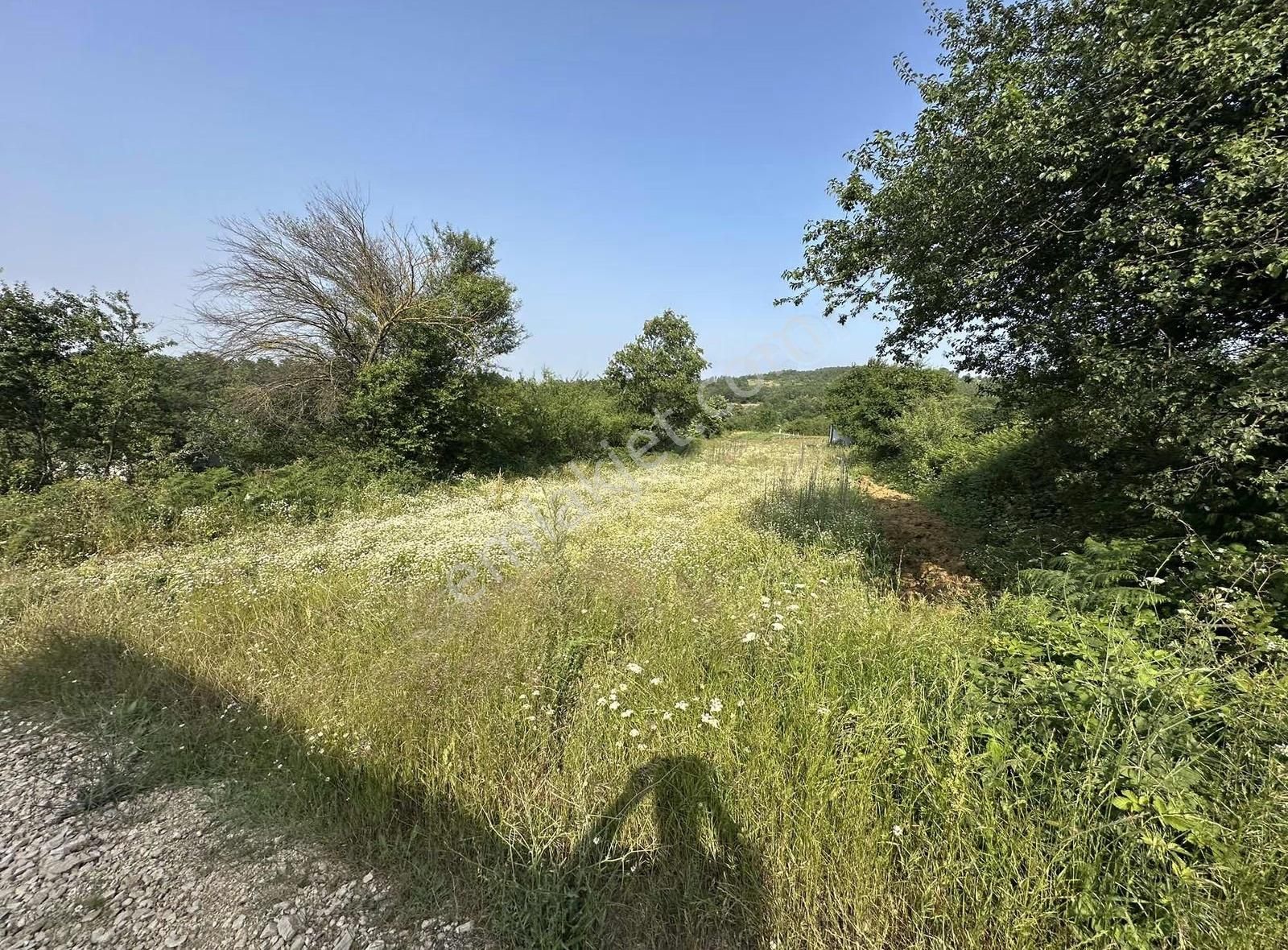 Bursa Nilüfer Güngörende Tek Tapu Tarla - Görsel 6