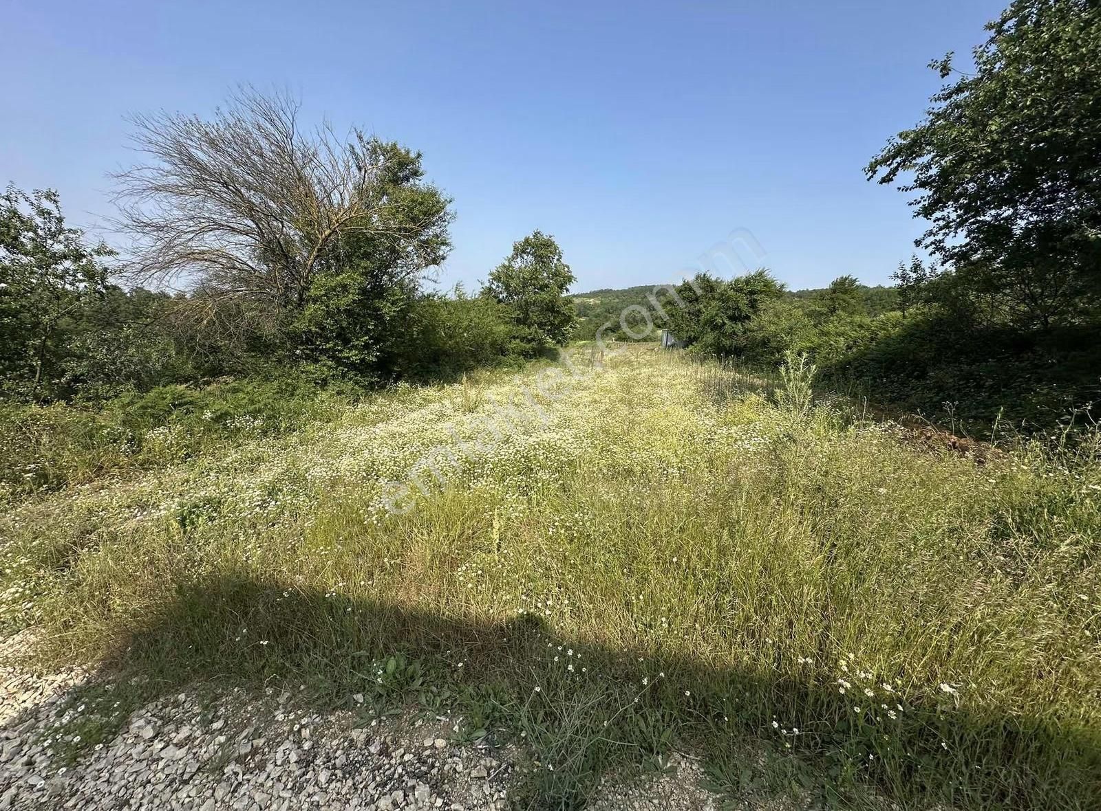 Bursa Nilüfer Güngörende Tek Tapu Tarla - Görsel 10