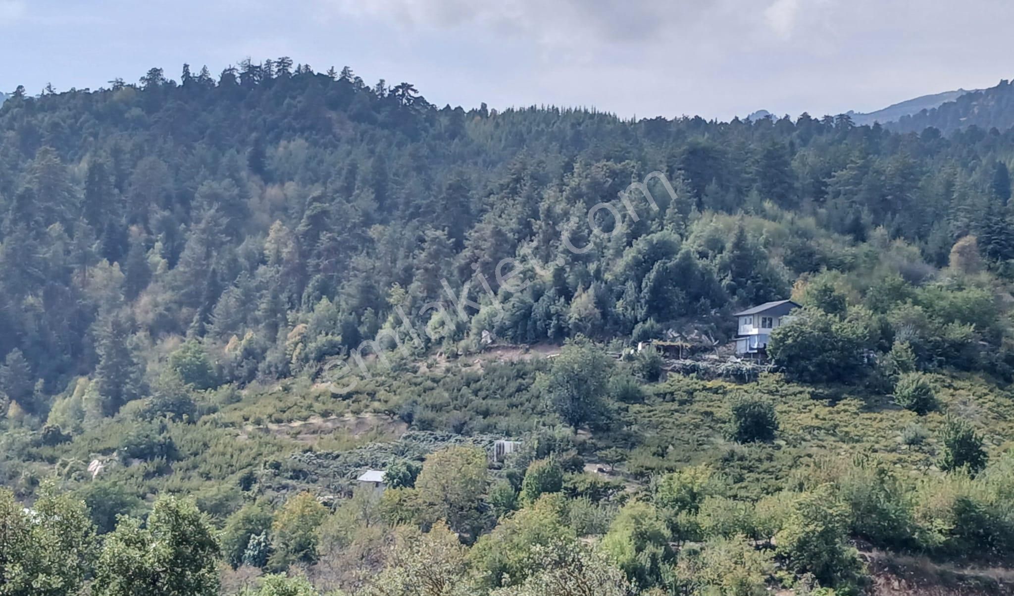 Bolkar'dan Yüksekoluk'ta Satılık 3167m² Karışık Meyve Bahçesi - Görsel 10