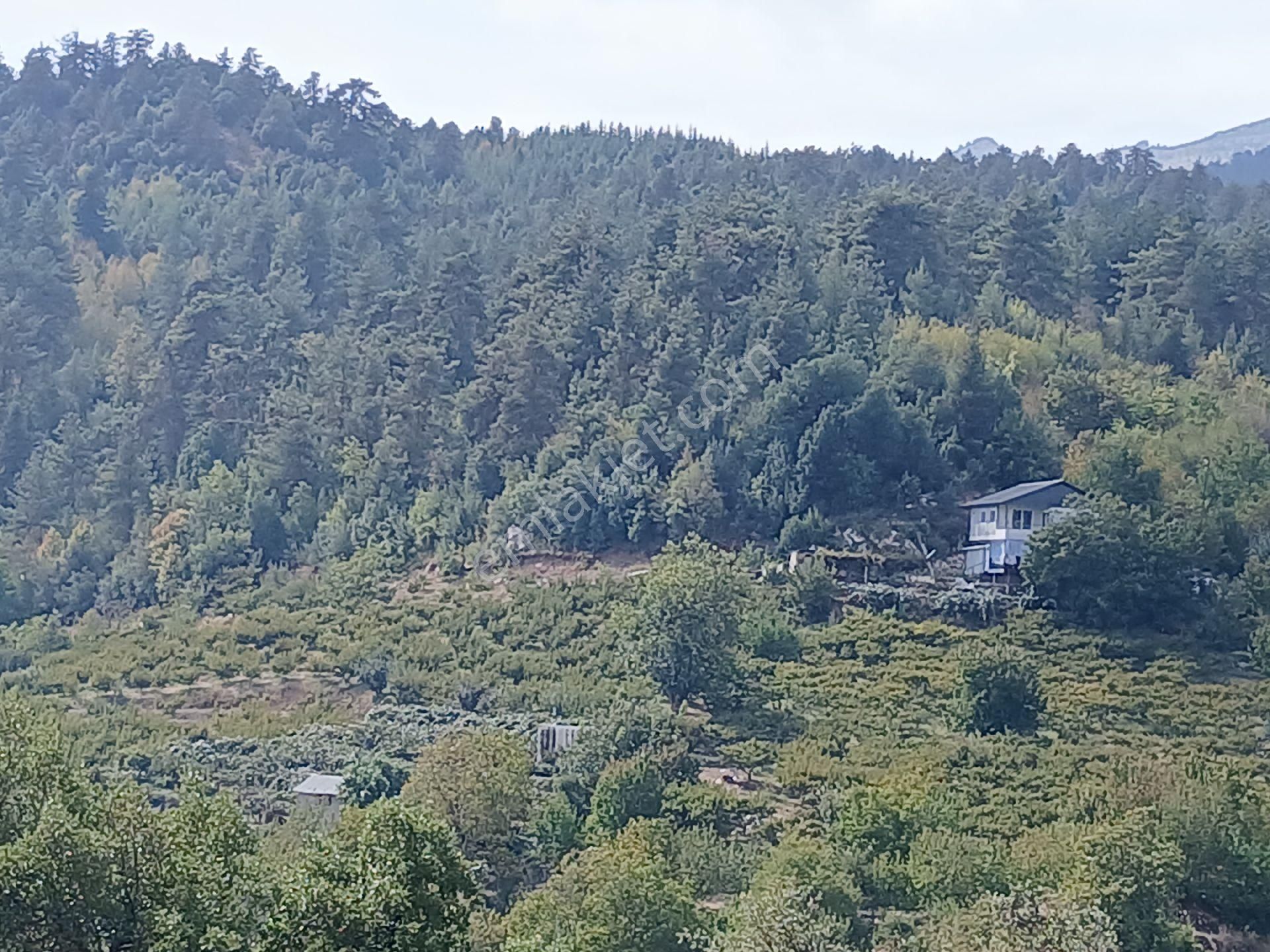 Bolkar'dan Yüksekoluk'ta Satılık 3167m² Karışık Meyve Bahçesi - Görsel 11