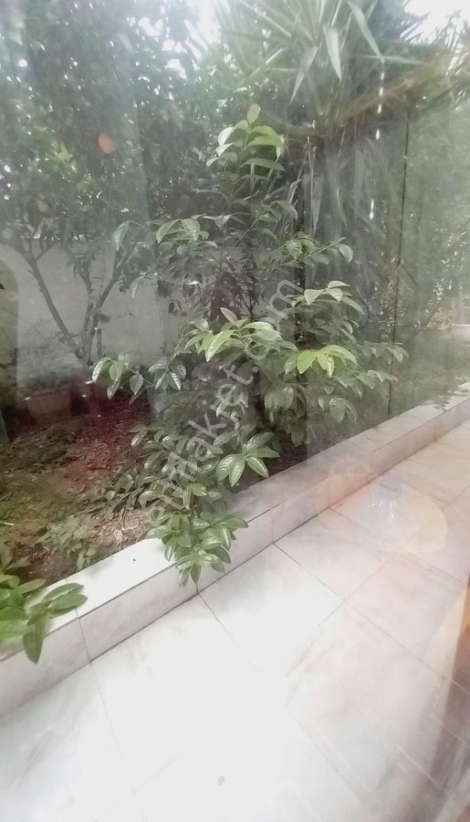 Side Anadolu Hastanesi Civarı Eşyalı Havuzlu Stüdyo Daire Acil - Görsel 6