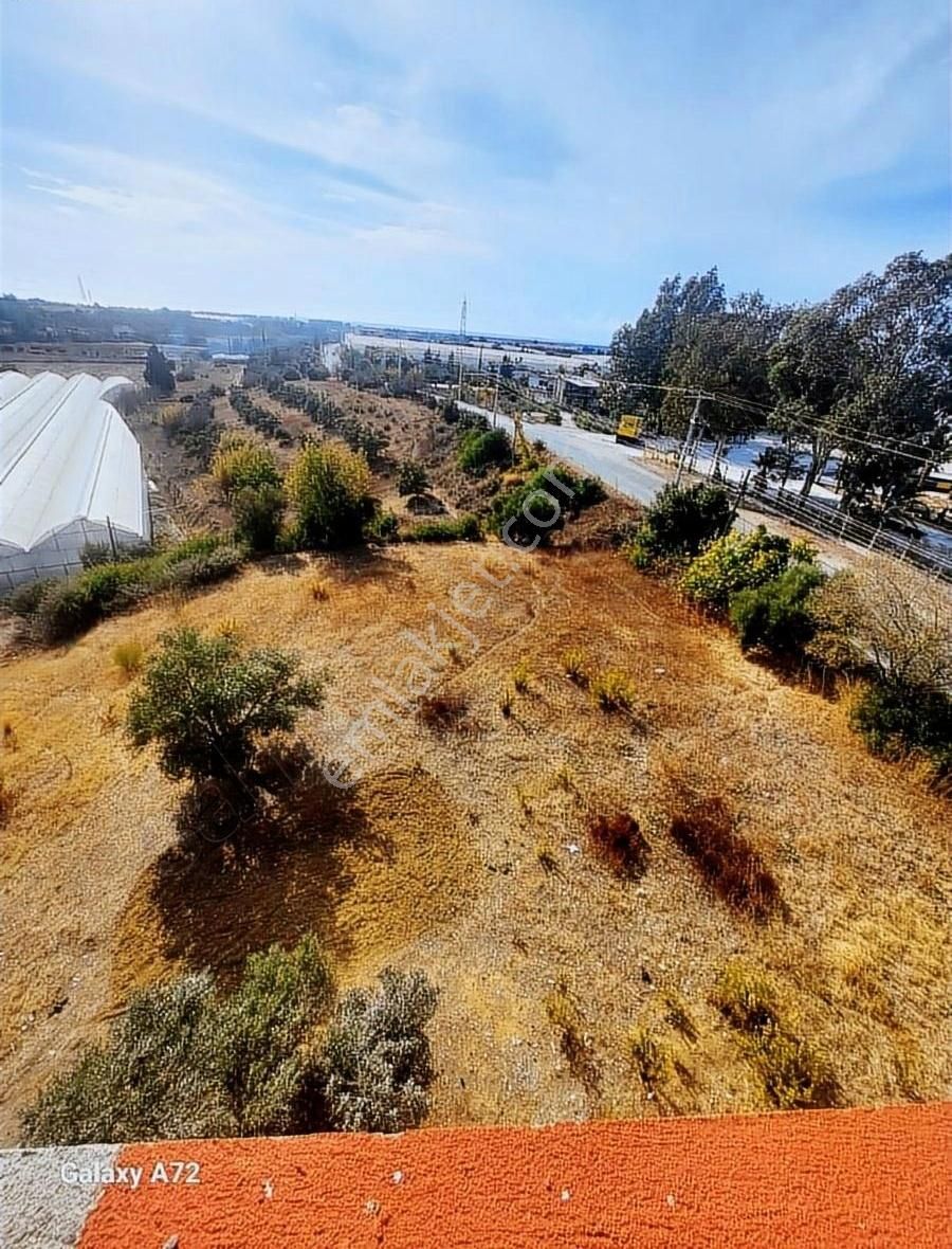 11 Dönüm Müstakil Binalı Tarla - Görsel 7