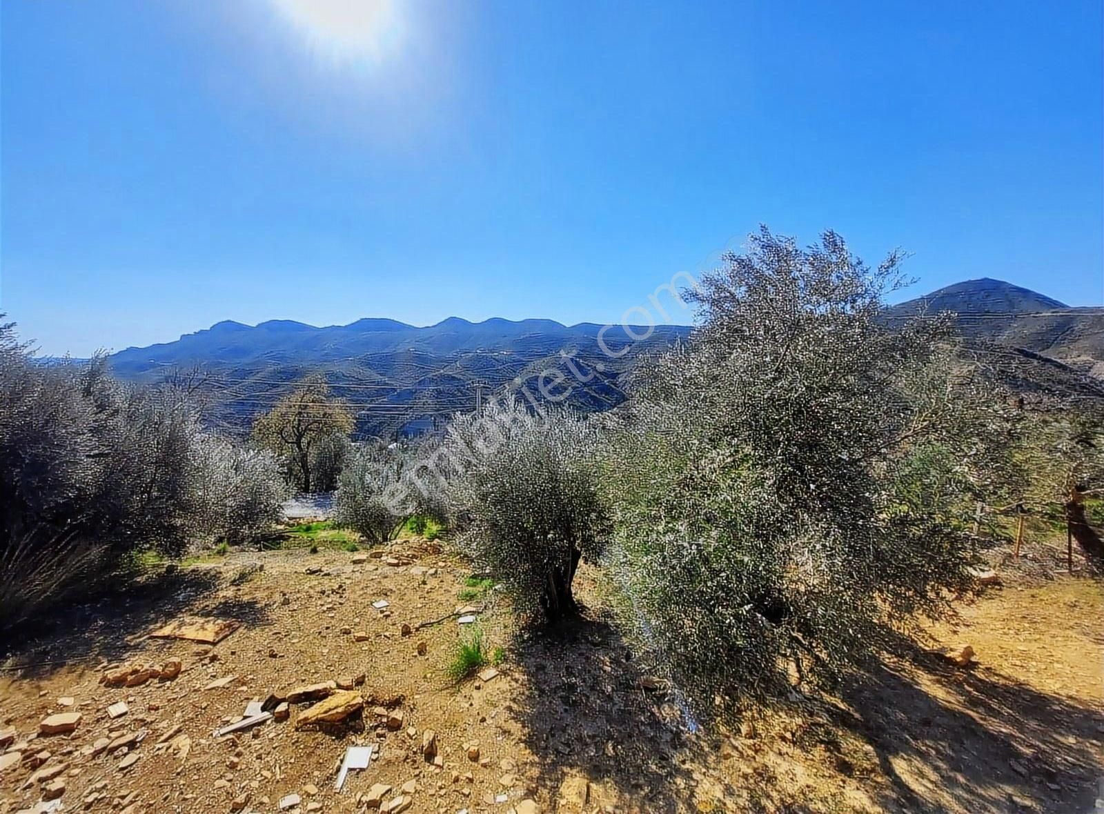 384 M2 Köy İçi Tarla Kapı Numarası Mevcut - Görsel 4