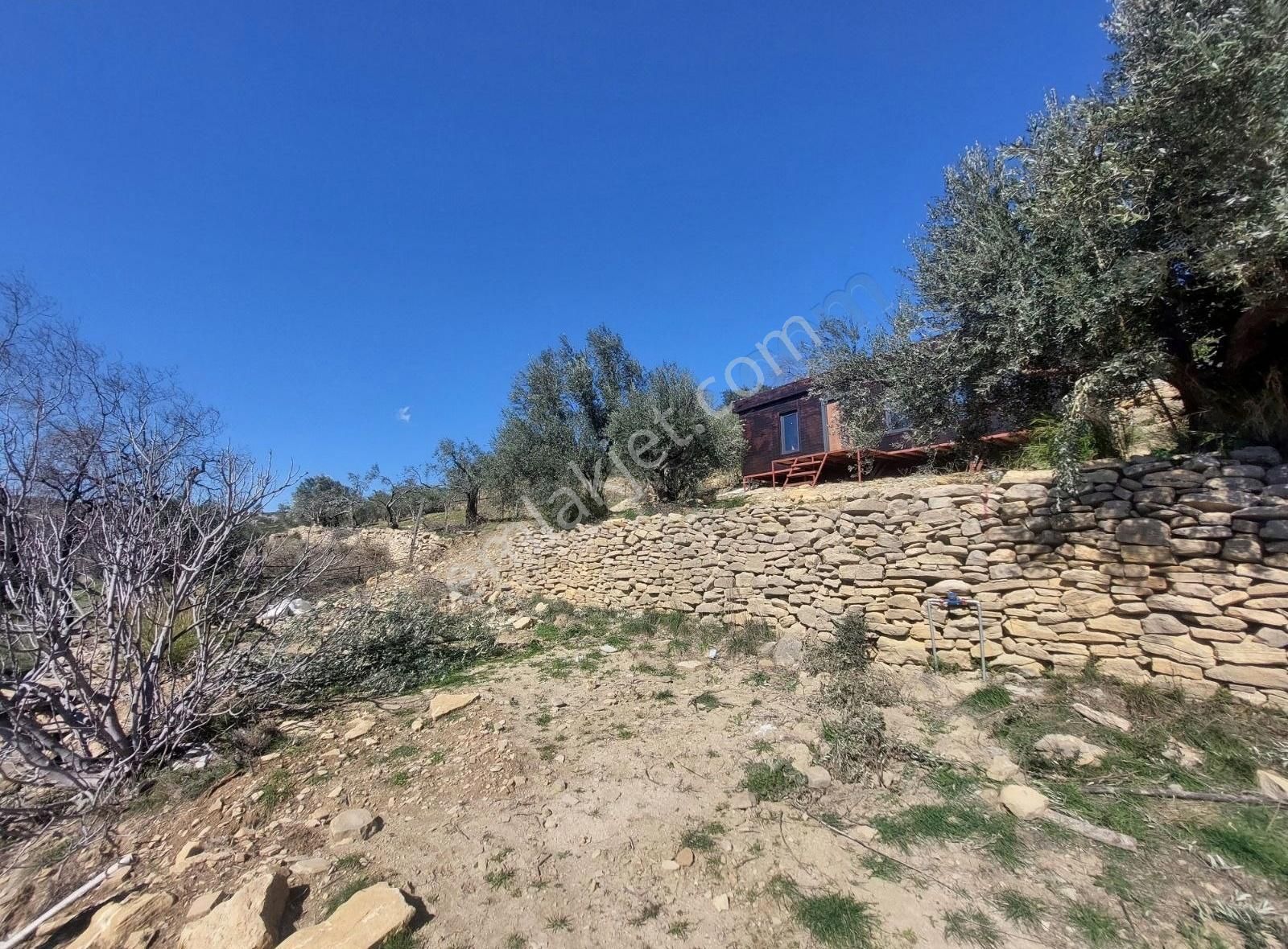 384 M2 Köy İçi Tarla Kapı Numarası Mevcut - Görsel 15