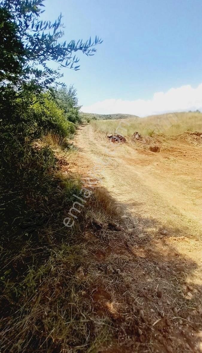 Oymapınar Iğrışlar Da Satılık Tarla 1 Dönüm Bonuslu