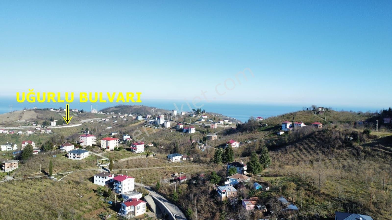 Trabzon,ortahisar,karakaya'da Satılık Arazi Hissesi(açıklamayı Okuyunuz) - Görsel 2