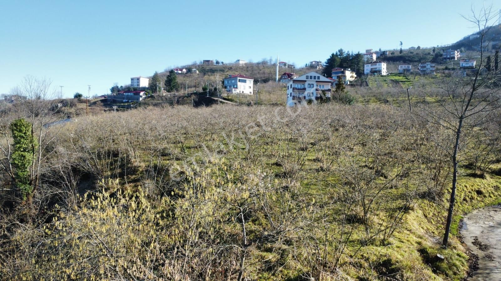 Trabzon,ortahisar,karakaya'da Satılık Arazi Hissesi(açıklamayı Okuyunuz) - Görsel 28