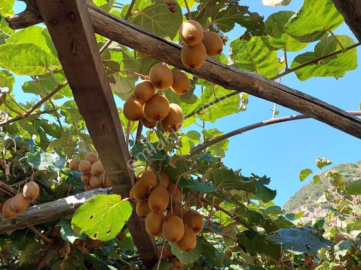 Mersin Mezitli Tepeköy'de Satılık Bahçe Arazi - Görsel 14