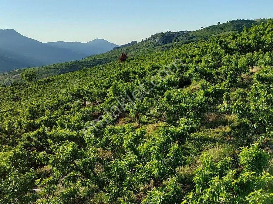 Mersin Mezitli Tepeköy'de Satılık Bahçe Arazi - Görsel 11