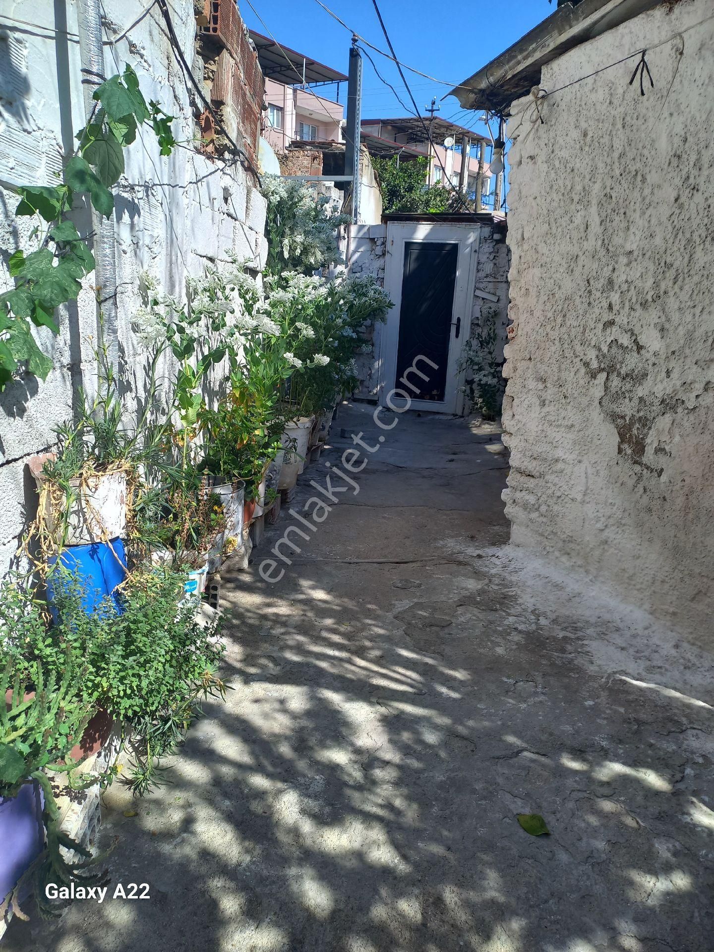 Soke Celtikci Mahallesinde Satılık Mustakıl - Görsel 12