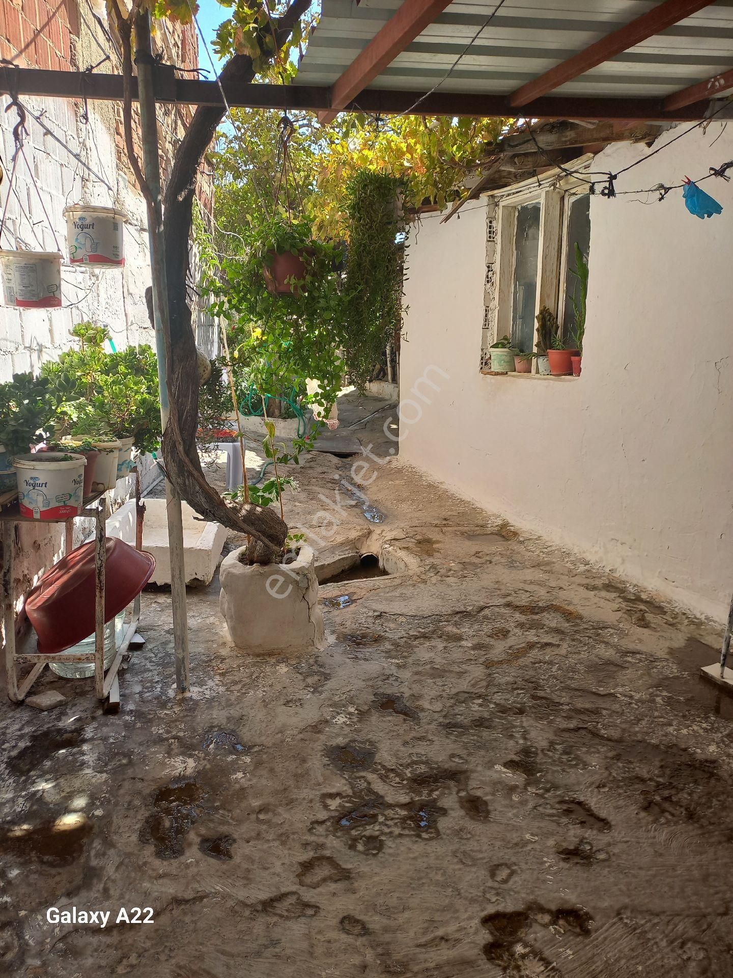 Soke Celtikci Mahallesinde Satılık Mustakıl - Görsel 11