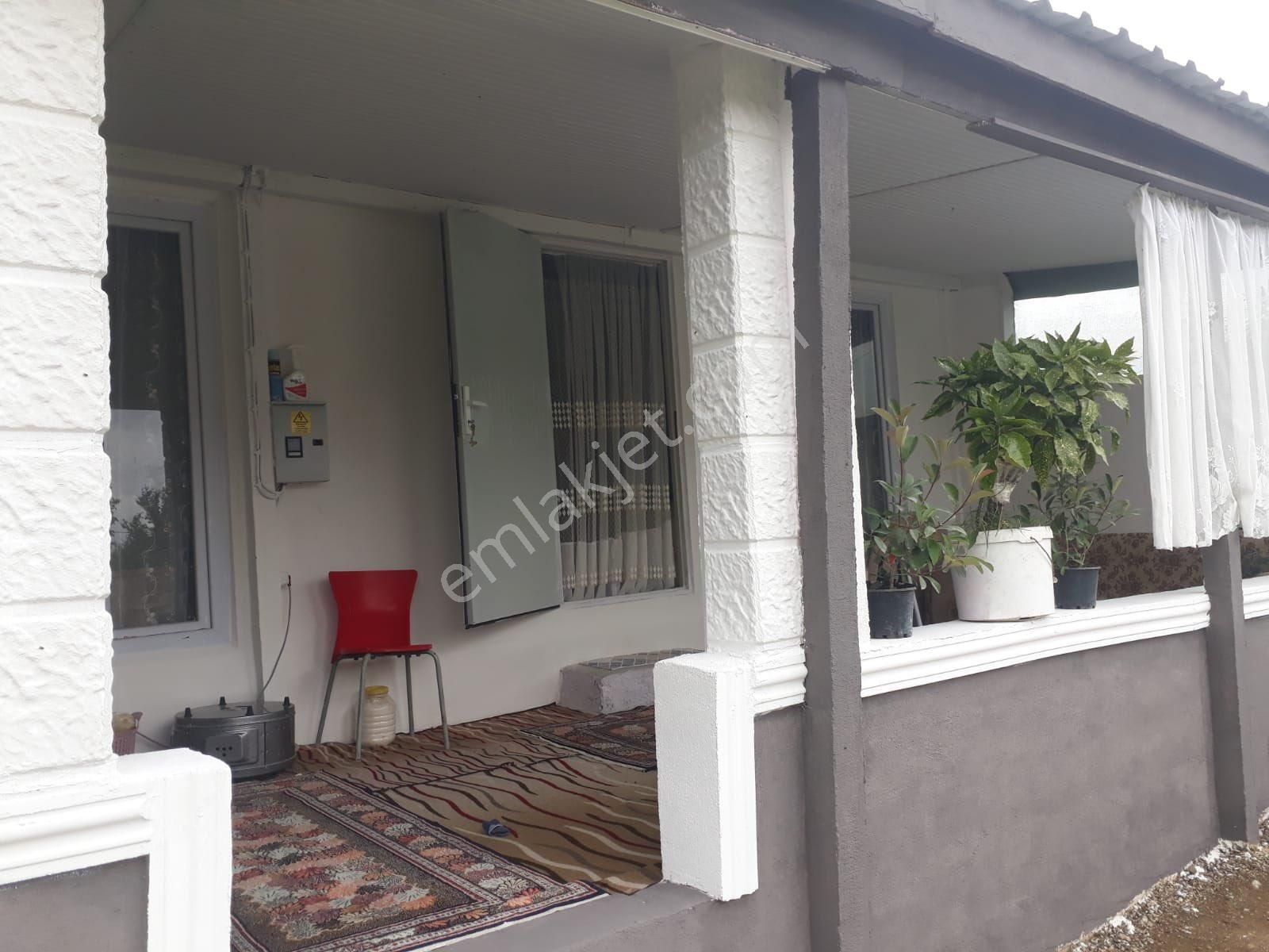 Şen Emlaktan Evrenköyde İçinde Çelik Ev Bulunan Tarla - Görsel 4