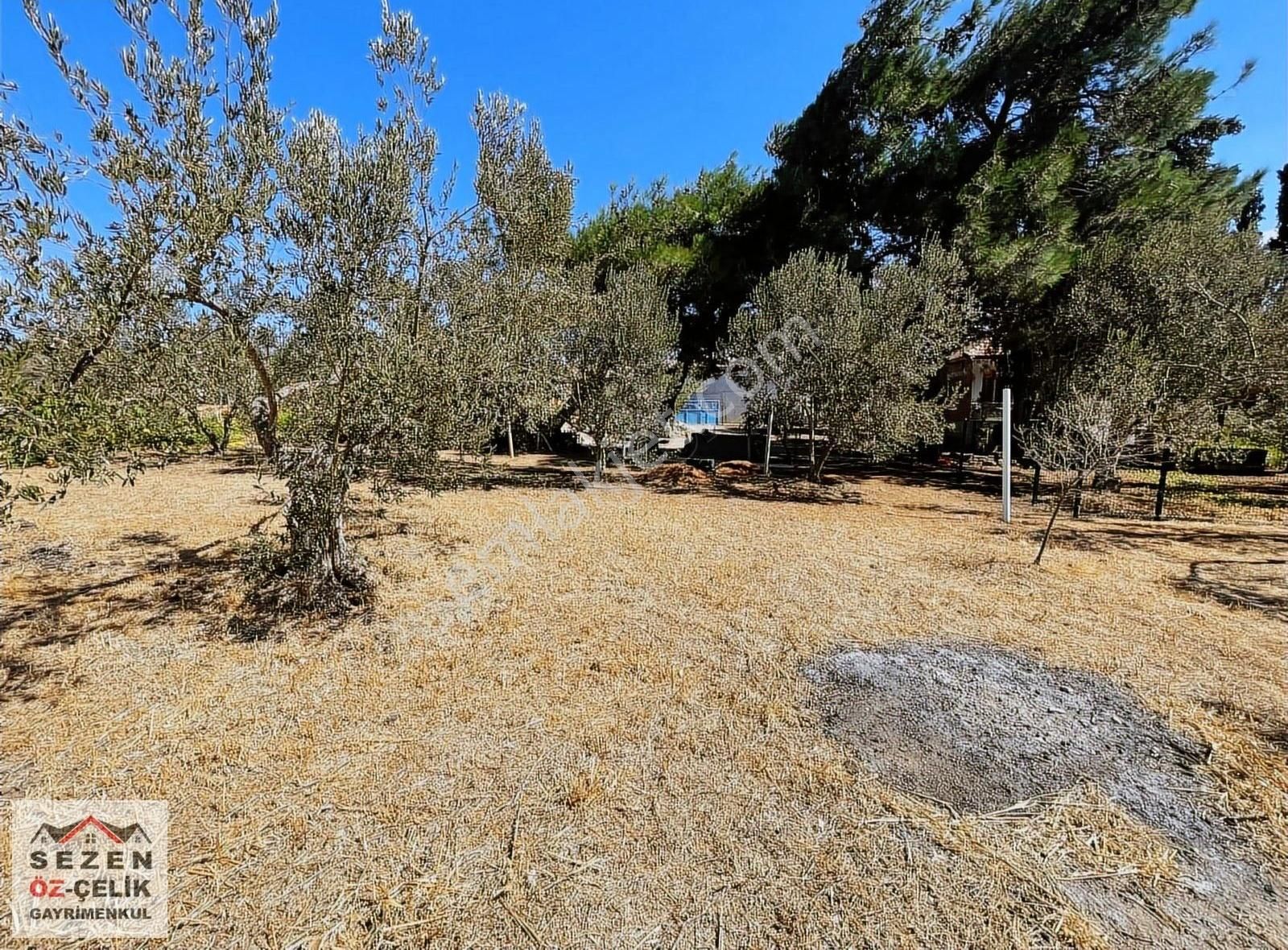 Çanakkale Tevfikiye Köyünde Satılık İmarlı Arsa - Görsel 15