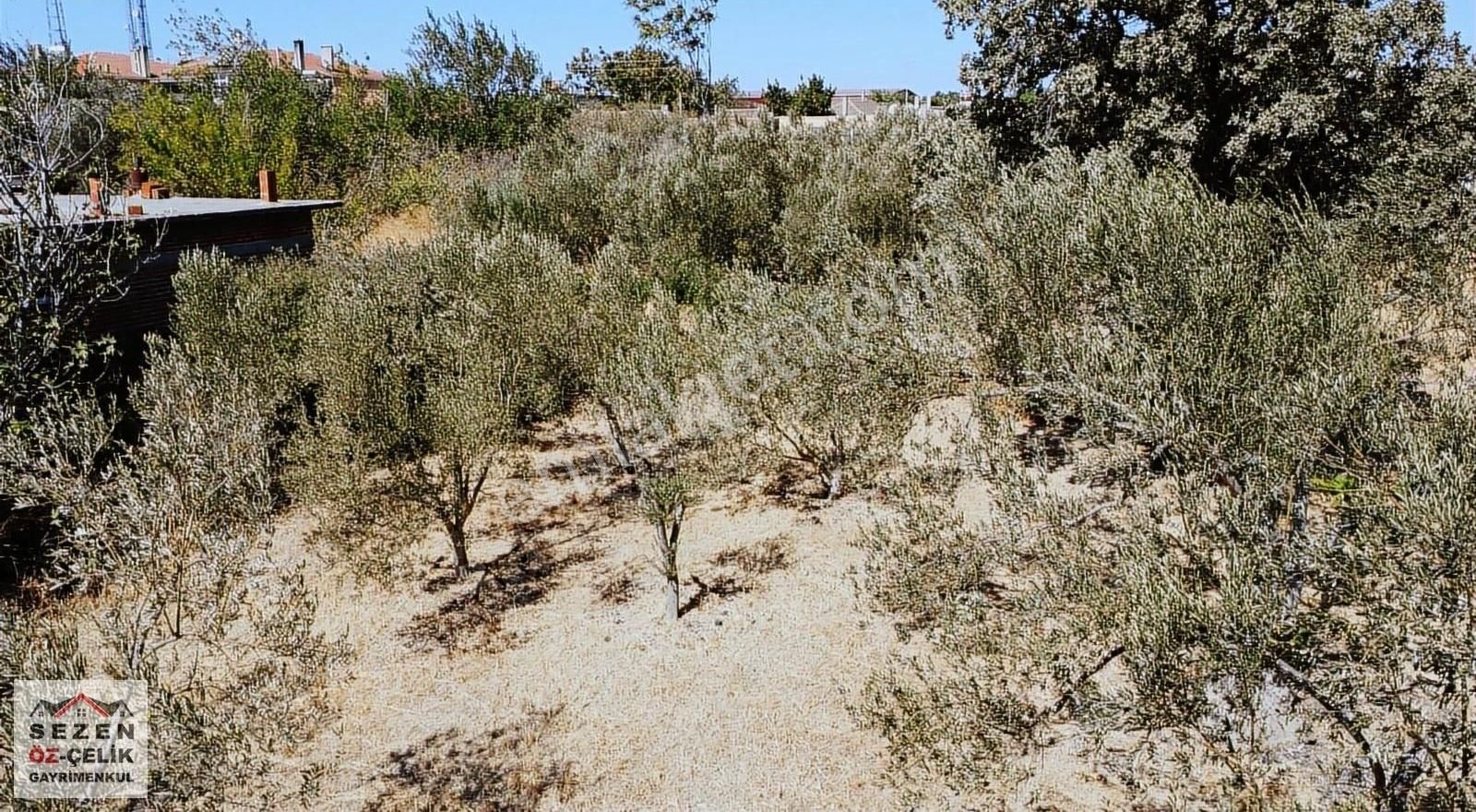 Çanakkale Tevfikiye Köyünde Satılık İmarlı Arsa - Görsel 6
