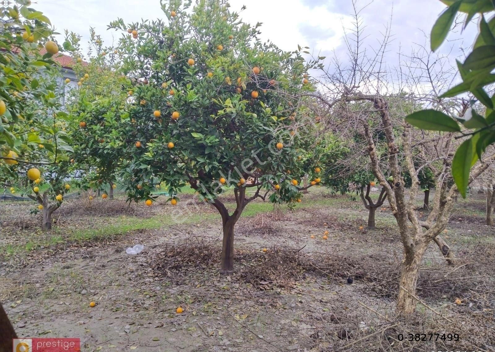 Prestige Gayrimenkul’den Ege Mahallasi’nde 520 M2 Satılık Arsa - Görsel 3