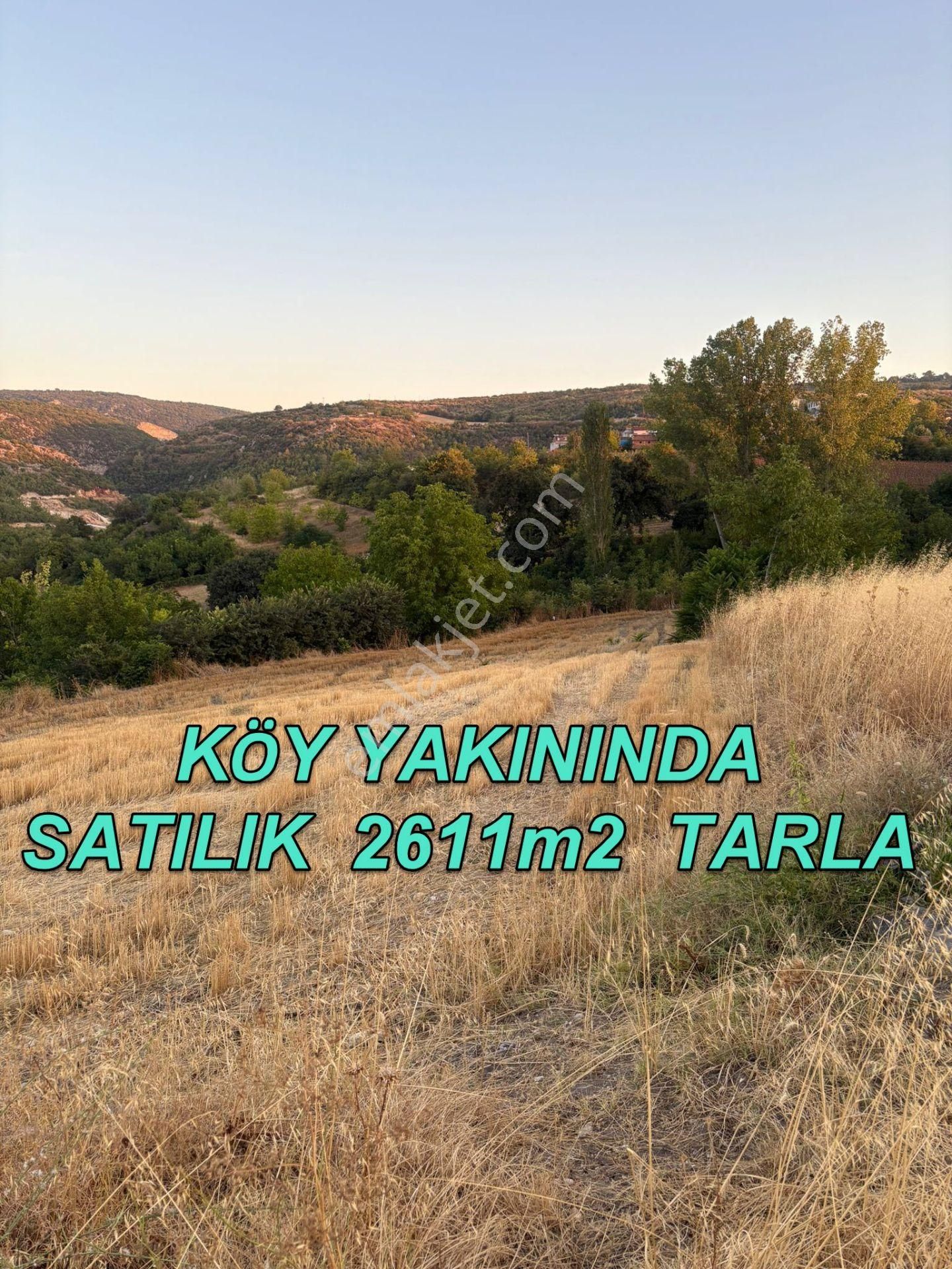 Bursa Yenişehir Çiçeközü Mh.de Acil Satılık Köydibi 2611m2 Tarla - Görsel 10