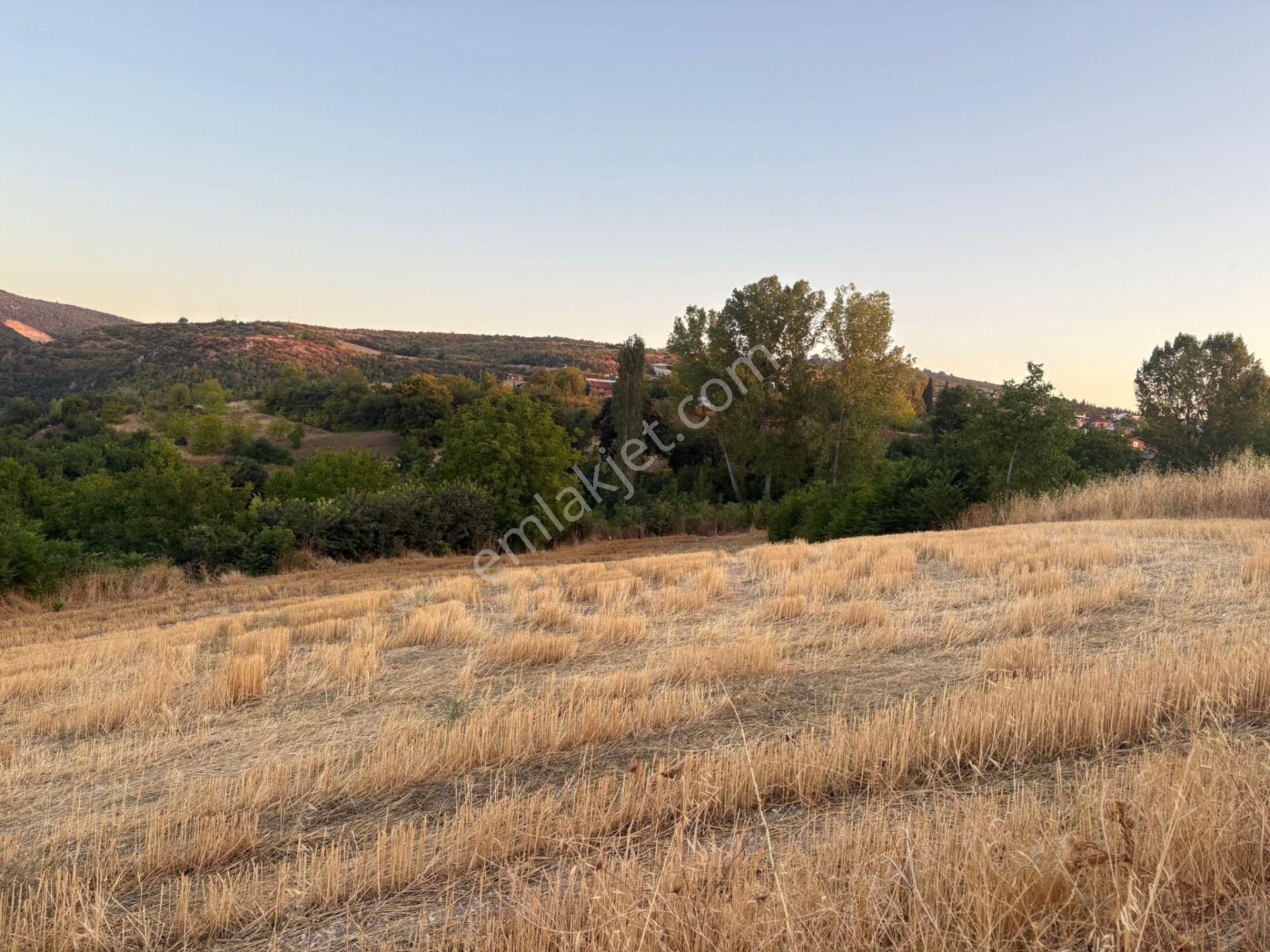 Bursa Yenişehir Çiçeközü Mh.de Acil Satılık Köydibi 2611m2 Tarla - Görsel 3