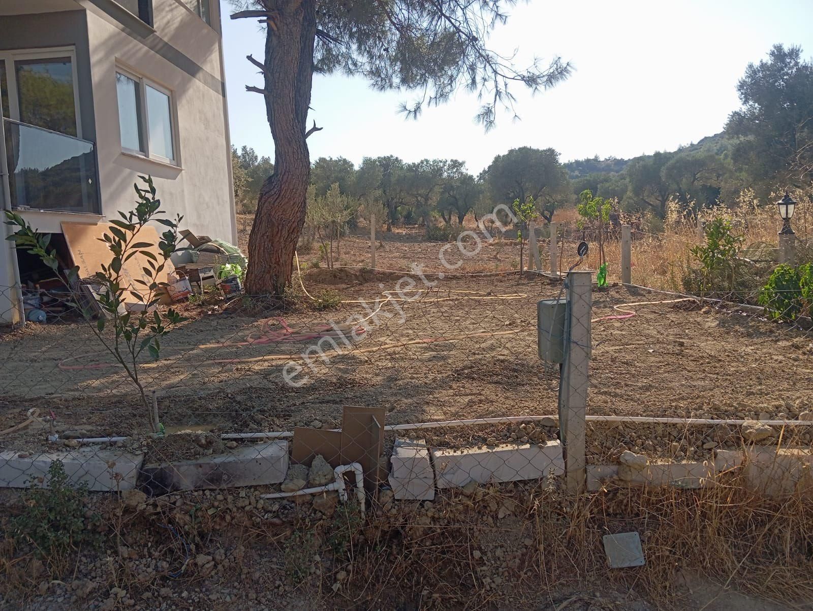 Çapak Köyünde Dümbüldek Mevkii 202m2 Arsa İçinde 85m2 Dubleks Sıfır 2+1 Satılık Parselli Zeytinlik - Görsel 3