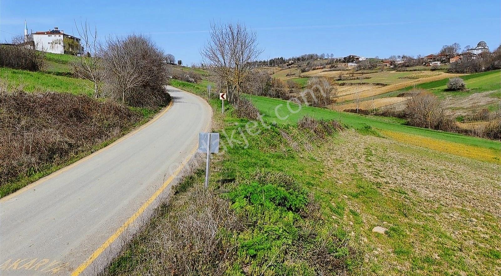Kaynarca Eğrioğlu Mah. 1723 M2 %40 İmarlı Satılık Arsa - Görsel 5