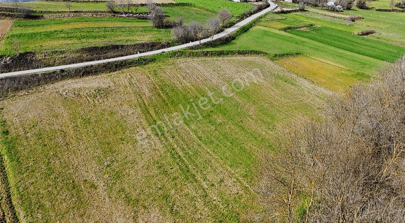Kaynarca Eğrioğlu Mah. 1723 M2 %40 İmarlı Satılık Arsa - Görsel 8