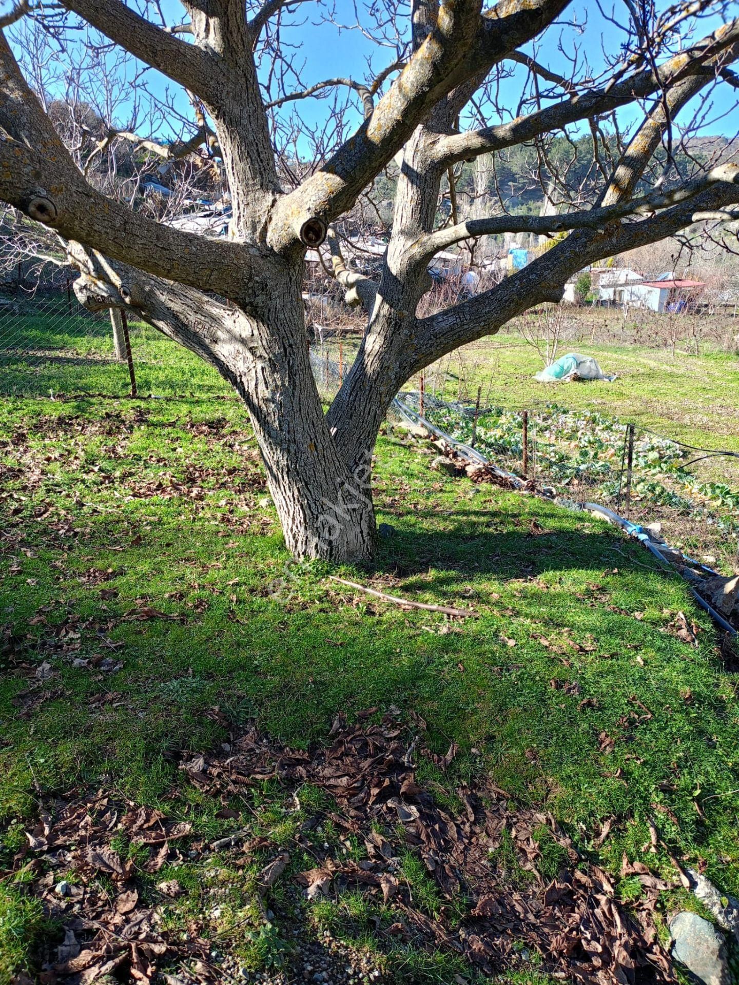 Karabağlar Kavacıkta 813 M2 Satılık Tarla - Görsel 2