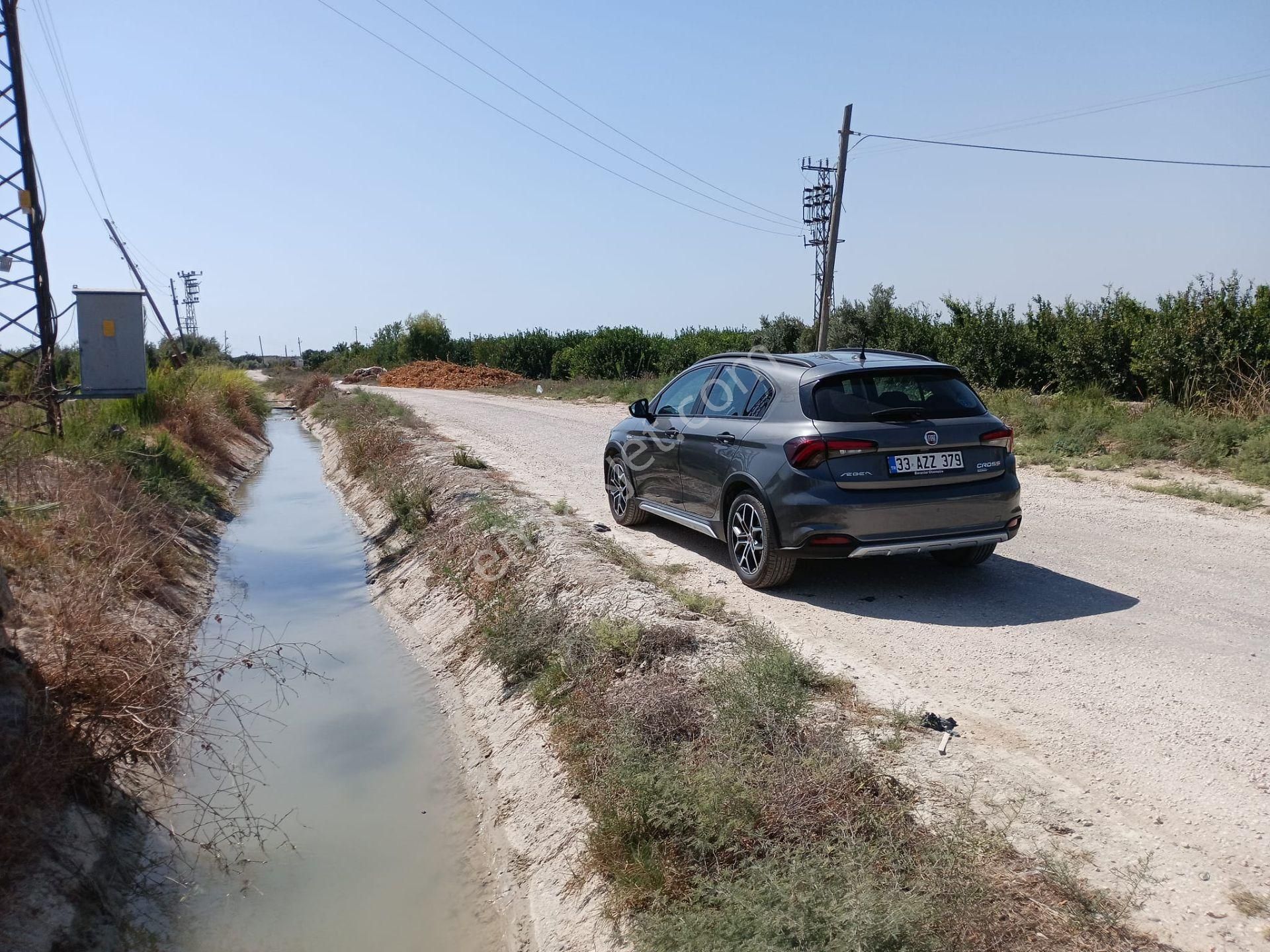 Mersin Silifke Arkum'da Satılık Limon Bahçesi - Görsel 13