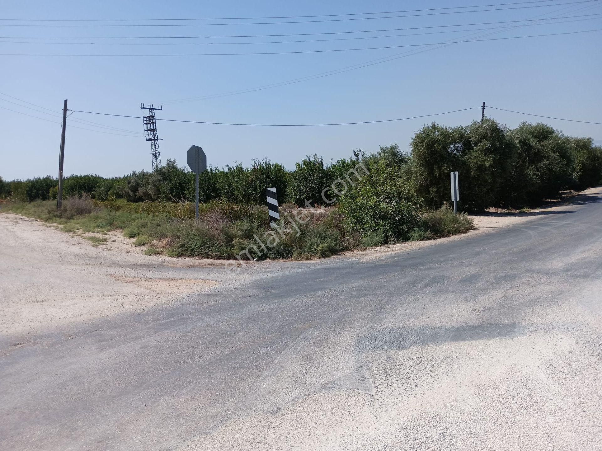 Mersin Silifke Arkum'da Satılık Limon Bahçesi - Görsel 8