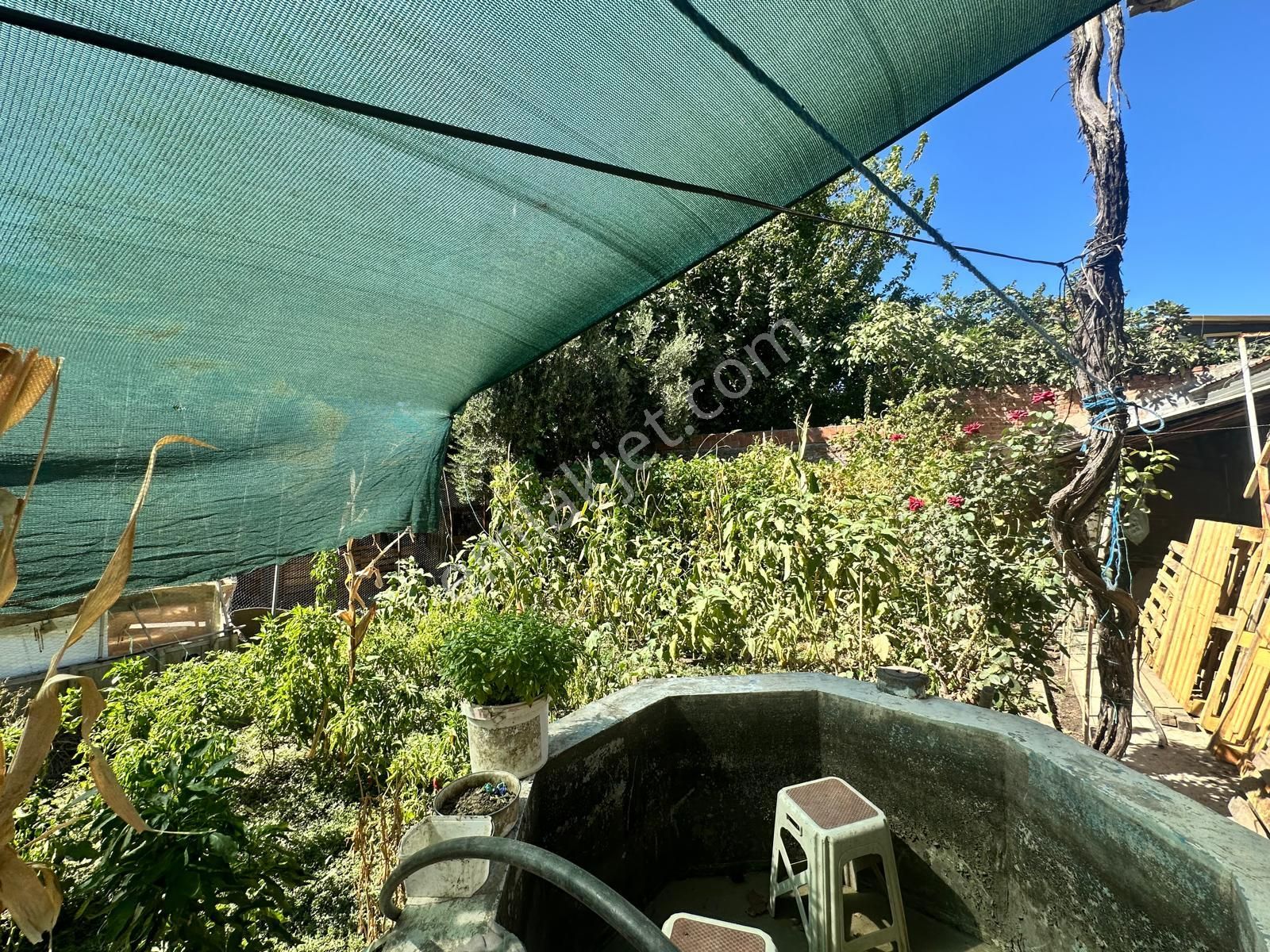 Karaçay Mah. Cadde Üzerinde 292 M2 Arsa İçinde Müstakil Bahçeli Ev - Görsel 8