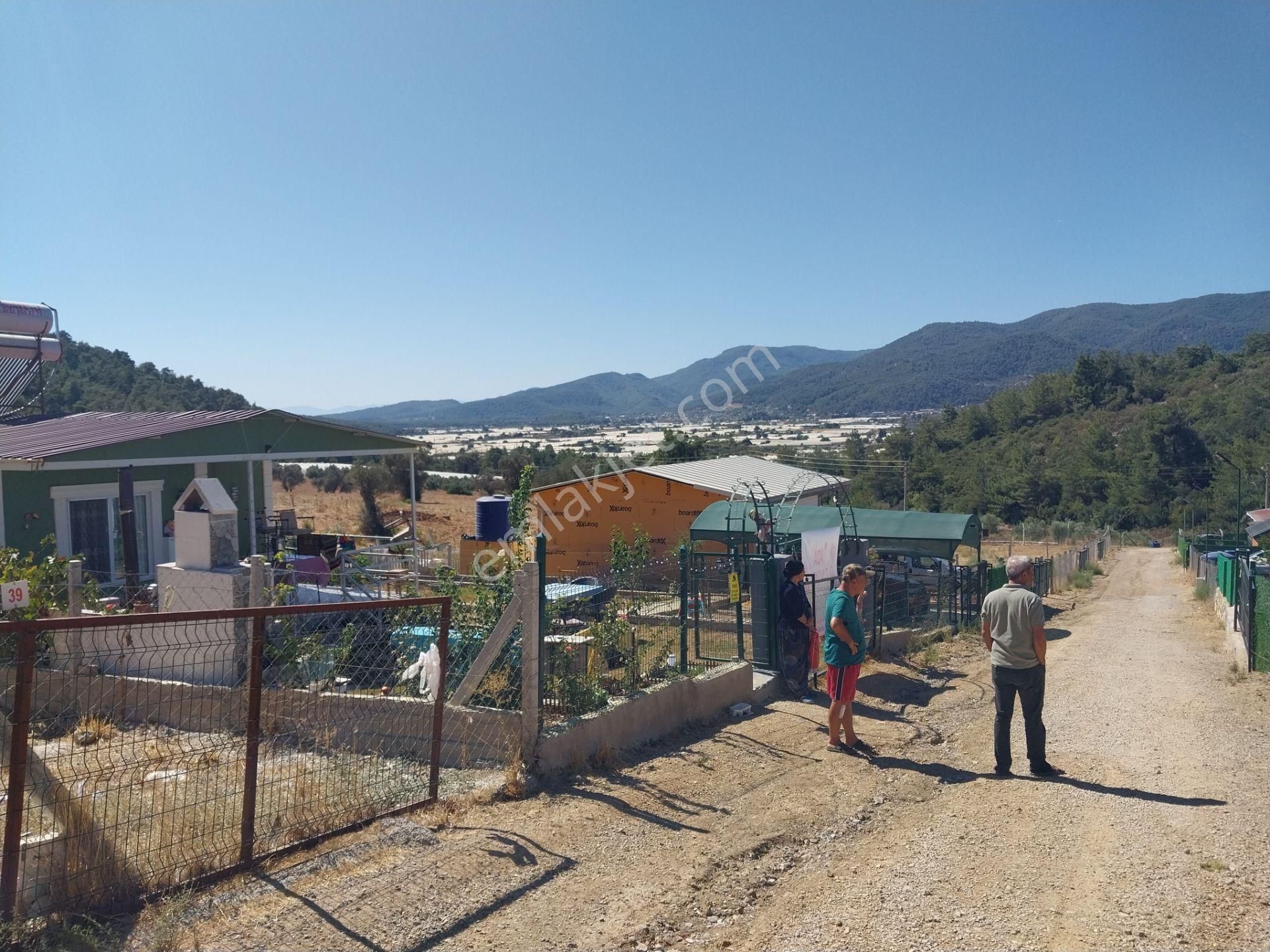 İzmir Menderes Çamönü 317mz Bahçe Zeytinlık - Görsel 7