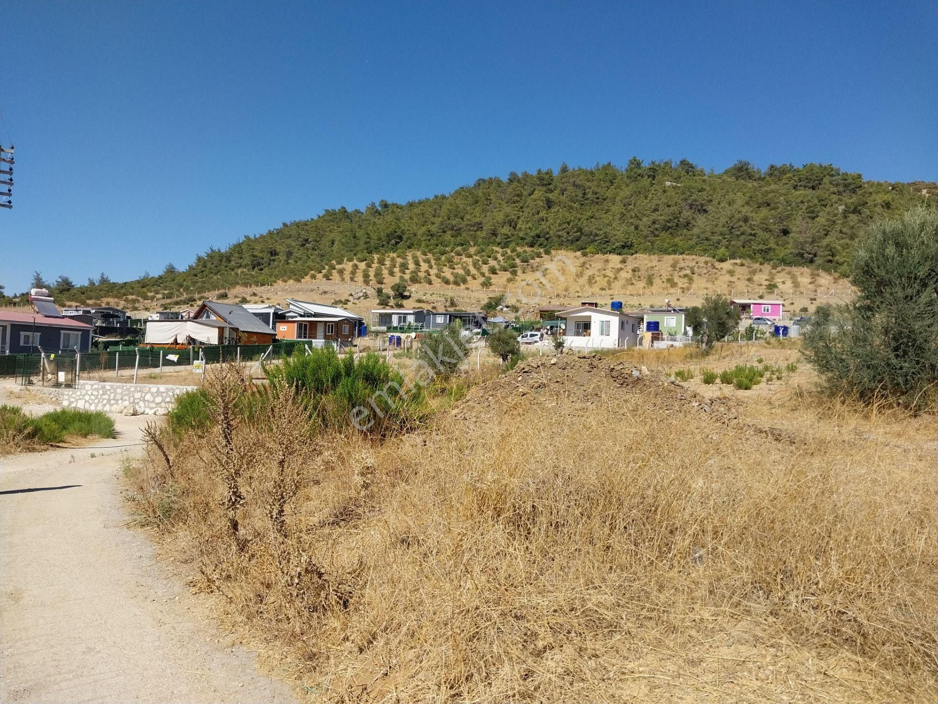İzmir Menderes Çamönü 317mz Bahçe Zeytinlık - Görsel 11